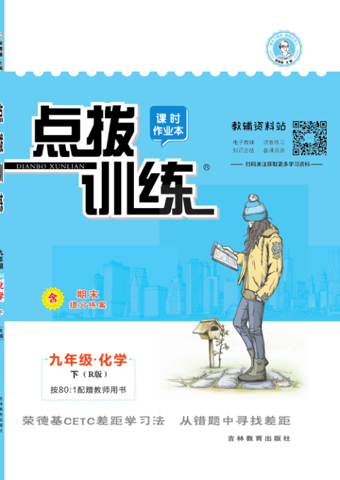 点拨训练九年级下册化学人教版