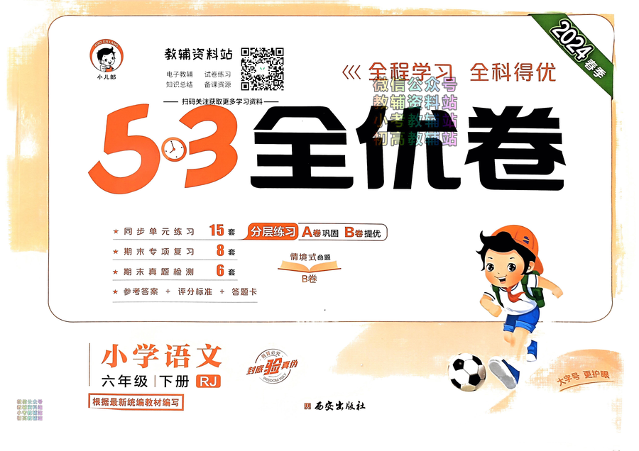 53全优卷六年级下册语文人教版