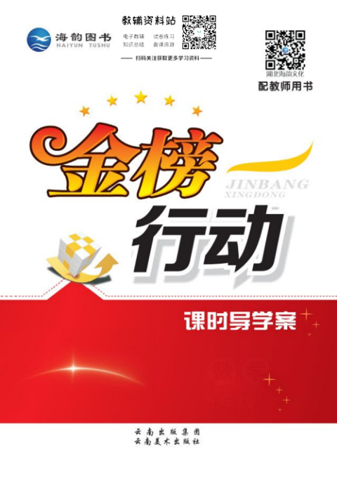 金榜行动九年级下册化学人教版