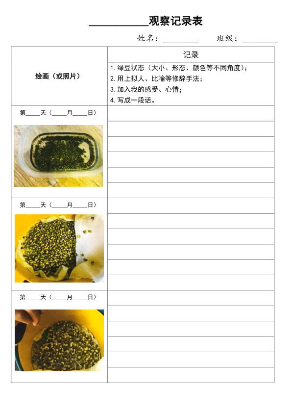 _111_四上第三单元绿豆生长观察表