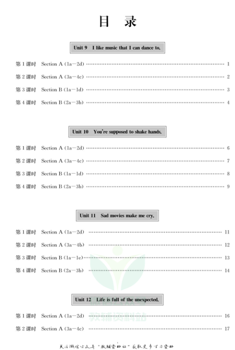 _体验型学案_九年级下册英语人教版手册