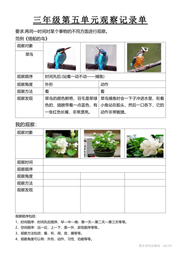 _34_三年级第五单元观察记录单