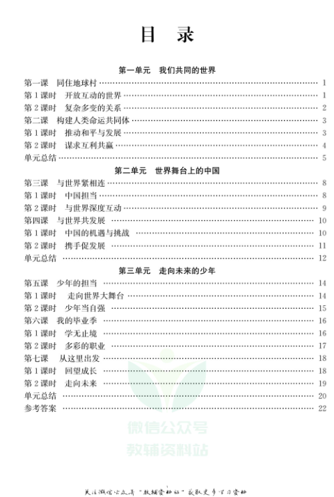 _体验型学案_九年级下册道德与法治人教版手册